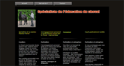 Desktop Screenshot of bernardlamonnier.com